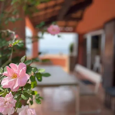 فيلة Maison De Lou بورْتِكْسْيو
